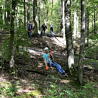 Seilrutsche im Wald