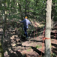 Seilbrücke im Wald