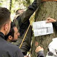 Teambuilding im Wald, Männer stehen um Baum mit Seil