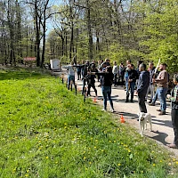 Bogenschießen als Teambuilding in Frankfurt, Mainz & Wiesbaden