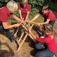 Holz Sägen mit Teamunterstützung