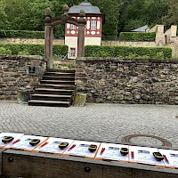 Teambuilding mit GPS und Roadmap am Kloster Eberbach