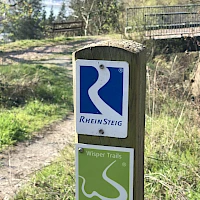 Teamevent Rheinsteig