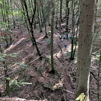 Teambuilding im Wald