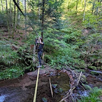 Teambuilding mit Schluchtüberquerung im Wad
