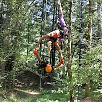 Yogapositionen in der Luft kombiniert mit Baumklettern