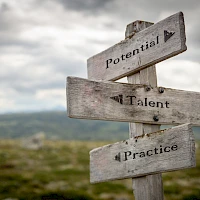 Wegweiser mit der Beschriftung: Potential, Talent und Practice