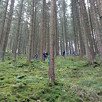 Wanderung durch den Wald