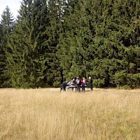 Teamtraining am Wald
