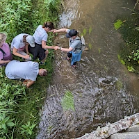 Teamunterstützung beim Überqueren eines Flusses