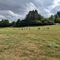 Wanderung im Team auf der Wiese
