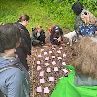 Teamchallenge mit Karten