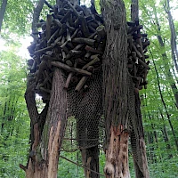 Baumkonstrukt - Teambuilding im Wald