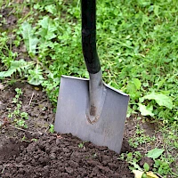 umkraben mit Schaufel