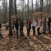 Teambuilding: gemeinsam am Seil entlang