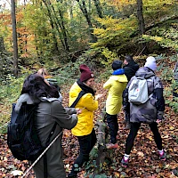 Teambuilding: am Seil entlang durch den Wald